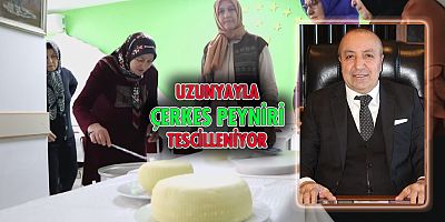 uzunyayla çerkes peyniri