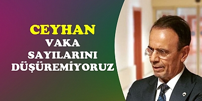 Prof. Dr. Ceyhan: “Vaka sayılarını düşüremiyoruz”