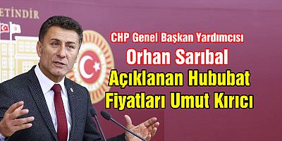 CHP Genel Başkan Yardımcısı Orhan Sarıbal
