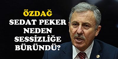 Sedat Peker’e tecridin kaldırılması için Gelecek Partili Selçuk Özdağ’dan BAE’ye çağrı
