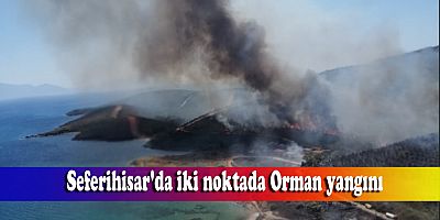 Seferihisar'da iki noktada orman yangını