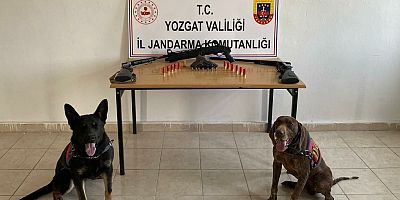 Silah ve mermi kaçakçılığı