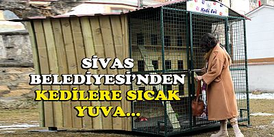 SİVAS BELEDİYESİ’NDEN KEDİLERE SICAK YUVA...