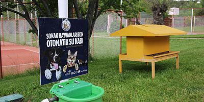 SİVAS BELEDİYESİ’NDEN SOKAK HAYVANLARI İÇİN OTOMATİK  SU KABI...