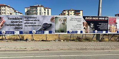 SİVAS BELEDİYESİ VE HAYTAP HAYVAN HAKLARI İÇİN ORTAK ÇALIŞMA YAPTI..