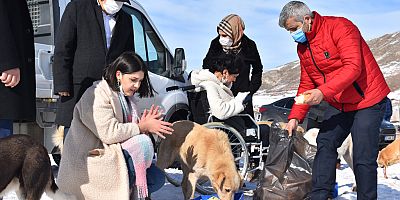 Sivas Belediyesi ve Kurumlardan Sokak Hayvanlarına Destek