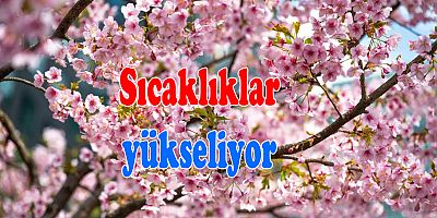 Soğuk hava gidiyor, sıcaklıklar yükseliyor