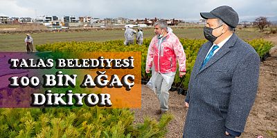 TALAS’A 100 BİN AĞAÇ 