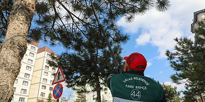 TALAS BELEDİYESİ “BAHAR’A MERHABA” DEDİ