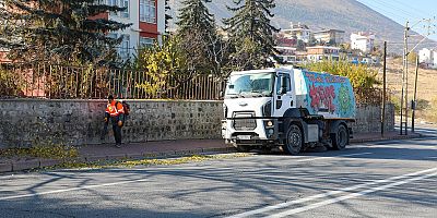 TALAS GENELİNDE SONBAHAR TEMİZLİĞİ