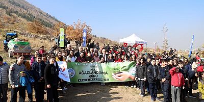 TALAS'TA ŞENLİK GİBİ AĞAÇLANDIRMA GÜNÜ