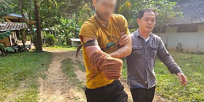 Tayland’da bir kişi ayının ısırdığı kolunu keserek kendini kurtardı