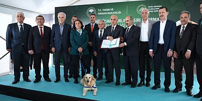 TBB BAŞKANVEKİLİ BÜYÜKKILIÇ, ANKARA’DA SOKAK HAYVANLARI İÇİN DÜZENLENEN PROGRAMA BAŞKANLIK ETTİ