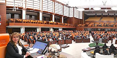 TBMM Başkanvekili Karaca'nın uygulaması tartışma yarattı