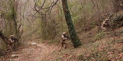 Terör Örgütü PKK’ya İlkbahar-Yaz Operasyonları Darbesi