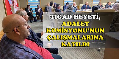 TİGAD HEYETİ, ADALET KOMİSYONU’NUN ÇALIŞMALARINA KATILDI
