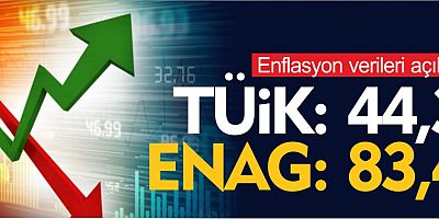 TÜİK'e göre yıllık enflasyon yüzde 44,38