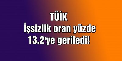 TÜİK: İşsizlik oran yüzde 13.2'ye geriledi