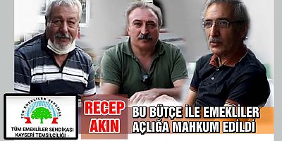 Tüm Emekli-Sen'den Bütçe Eleştirisi