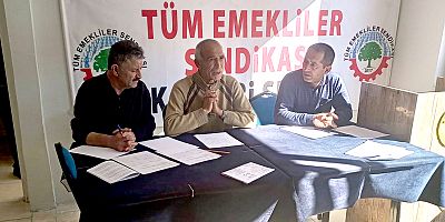 Tüm Emekliler Sendikası 