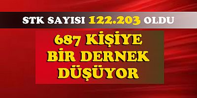 Türkiye'de 687 kişiye bir dernek düşüyor