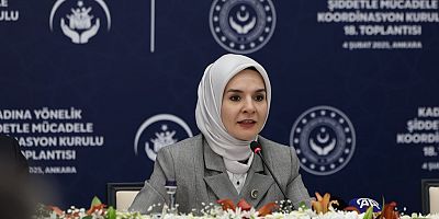 ”Türkiye’de Kadına Yönelik Şiddet Araştırması