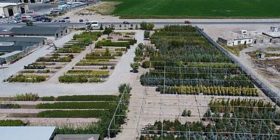 TÜRKİYE’NİN EN KAPSAMLI FİDANLIĞI KOCASİNAN’DA