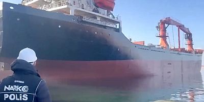 Ülkeler arası işbirliğiyle suç örgütü operasyonu: 138 gözaltı