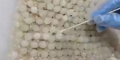Uyuşturucuyu gelinliğe işlemişler
