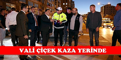 Vali Çiçek’ten Kaza Yerinde Duyarlılık Örneği