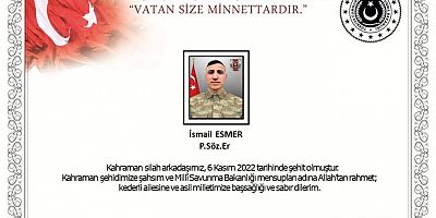 Yaralı askerlerden biri şehit oldu