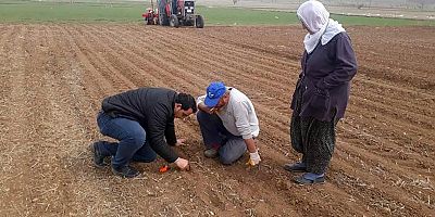 Yozgat çiftçisi pancar ekimine hazırlanıyor