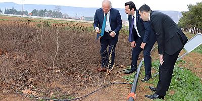 Yozgat’ta bağcılık geliştiriliyor