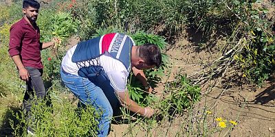 Yozgat’ta tarihi eser ve esrar operasyonu