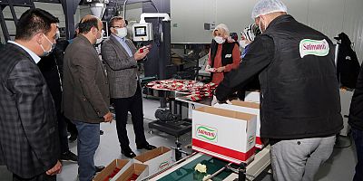 Yozgat’tan Avrupa’ya kuruyemiş