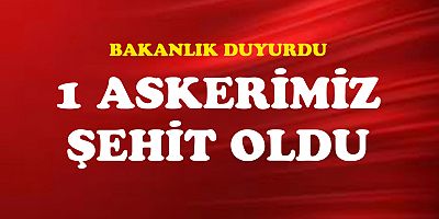Zeytindalı harekat bölgesinden acı haber: 1 asker şehit